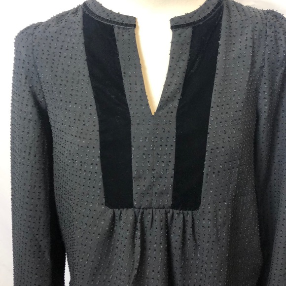 NWT Swiss Dot top with Velvet accents - Picture 2 of 5